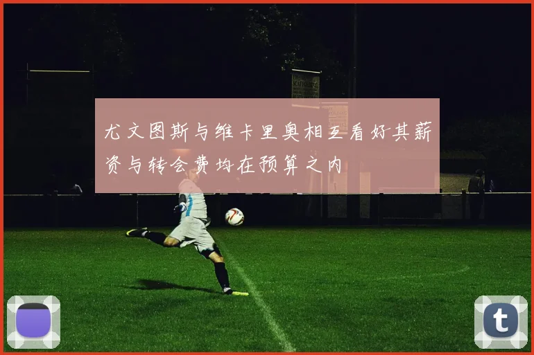 尤文图斯与维卡里奥相互看好其薪资与转会费均在预算之内