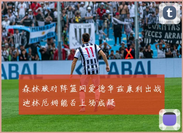 森林狼对阵篮网爱德华兹康利出战迪林厄姆能否上场成疑
